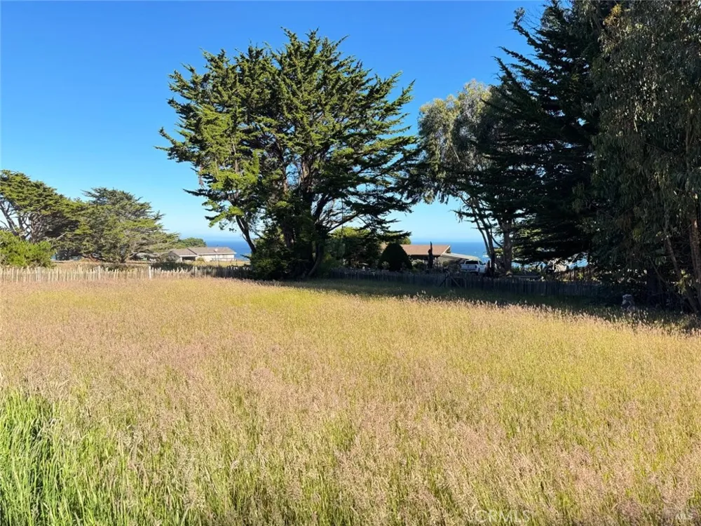 34201 Pacific Reefs Road Albion, CA 95410