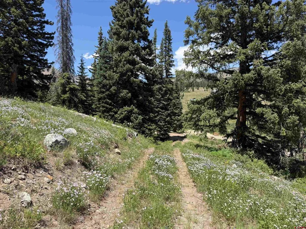 290 7th Street Crested Butte, CO 81224