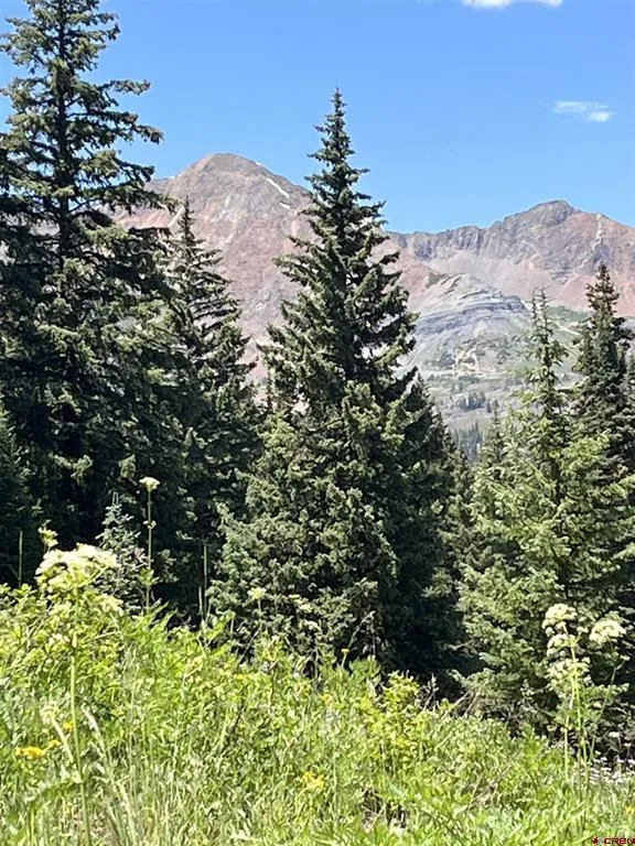 290 7th Street Crested Butte, CO 81224