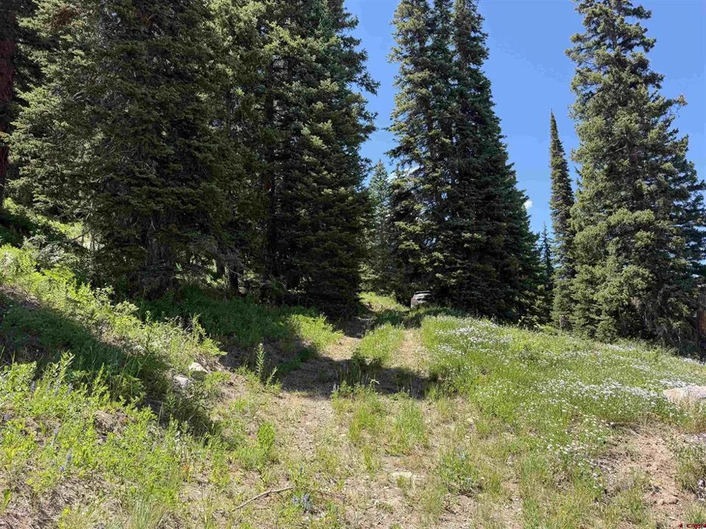 290 7th Street Crested Butte, CO 81224