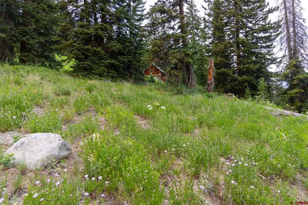 290 7th Street Crested Butte, CO 81224