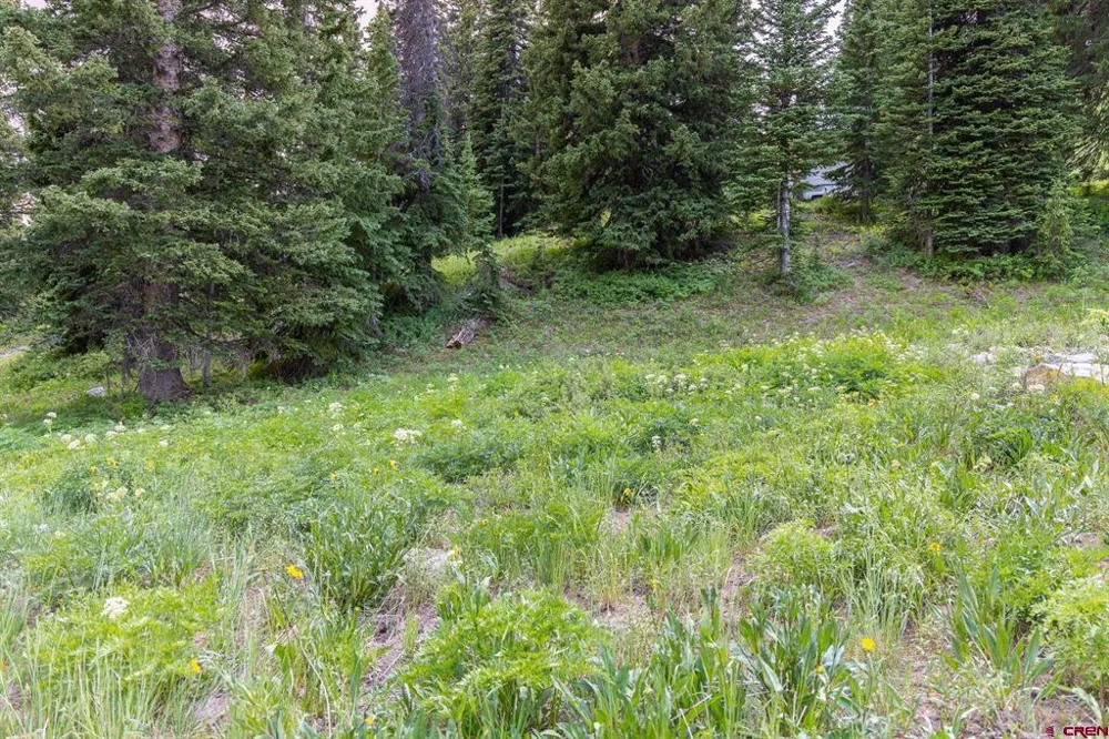 290 7th Street Crested Butte, CO 81224