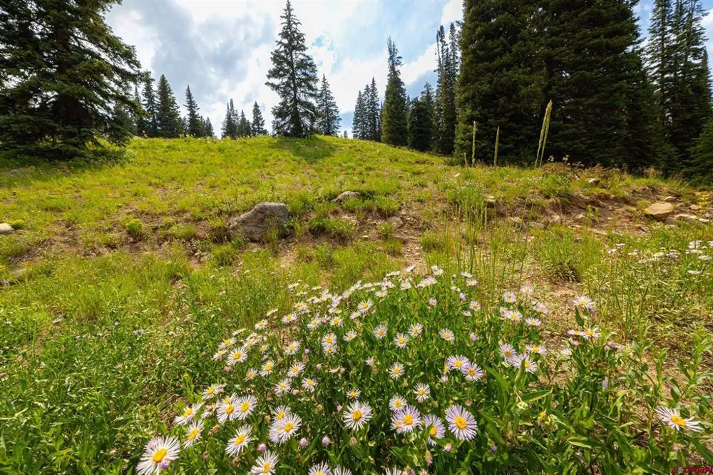 290 7th Street Crested Butte, CO 81224