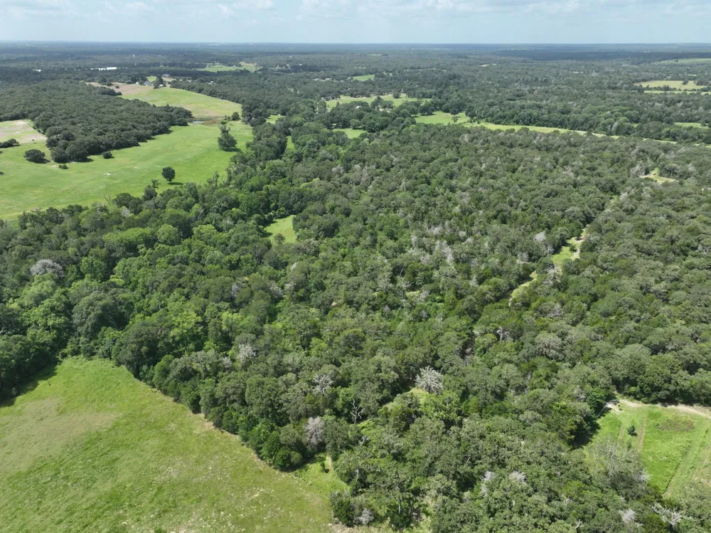 15 County Road 333 Caldwell, TX 77836