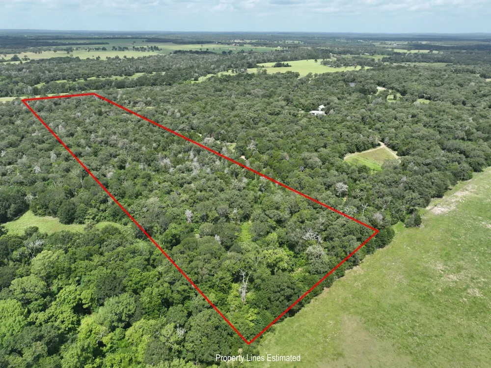 15 County Road 333 Caldwell, TX 77836