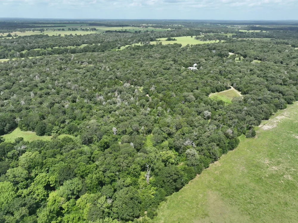 15 County Road 333 Caldwell, TX 77836