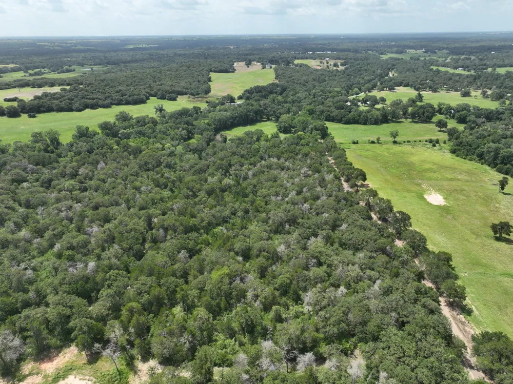 15 County Road 333 Caldwell, TX 77836