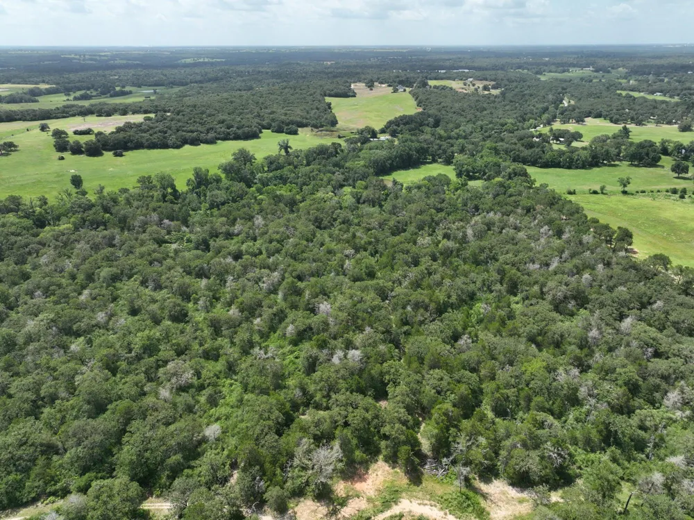 15 County Road 333 Caldwell, TX 77836