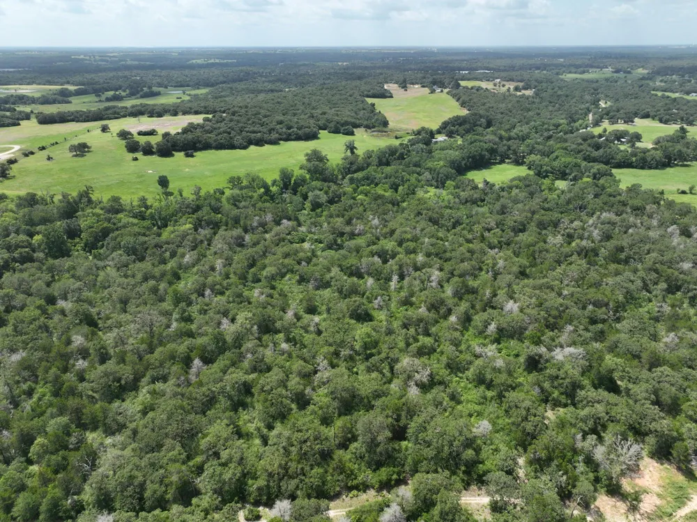 15 County Road 333 Caldwell, TX 77836