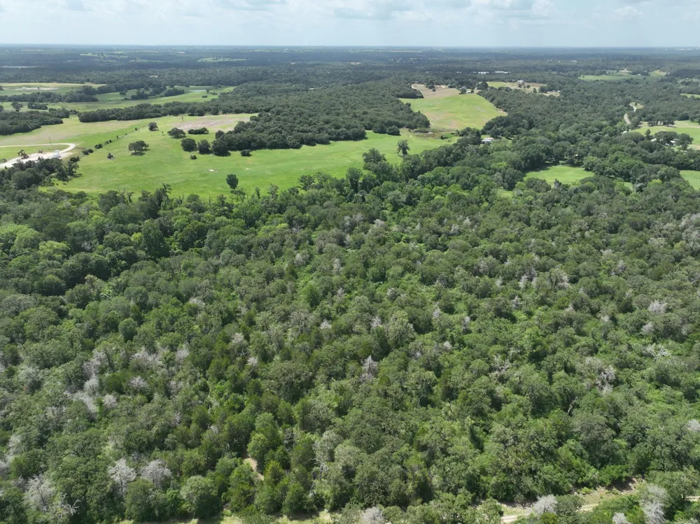 15 County Road 333 Caldwell, TX 77836