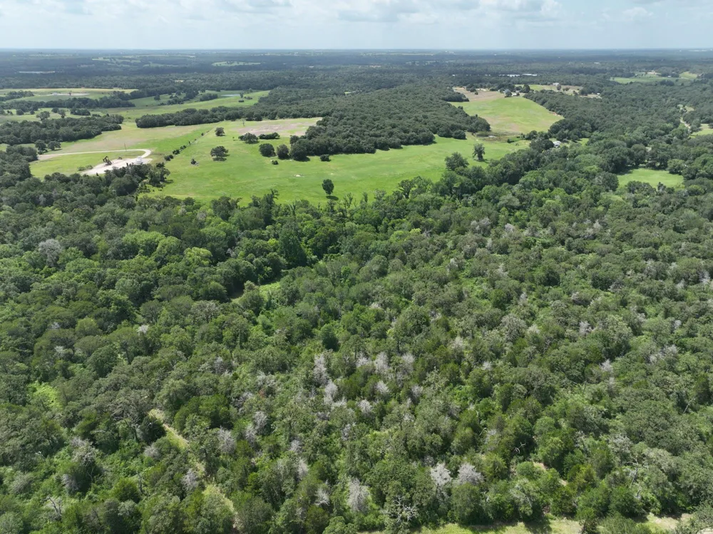 15 County Road 333 Caldwell, TX 77836