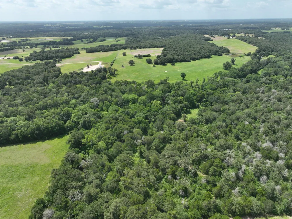 15 County Road 333 Caldwell, TX 77836