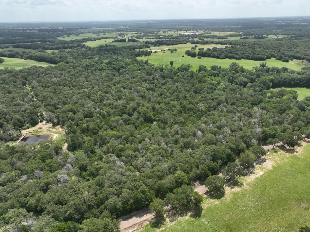 15 County Road 333 Caldwell, TX 77836