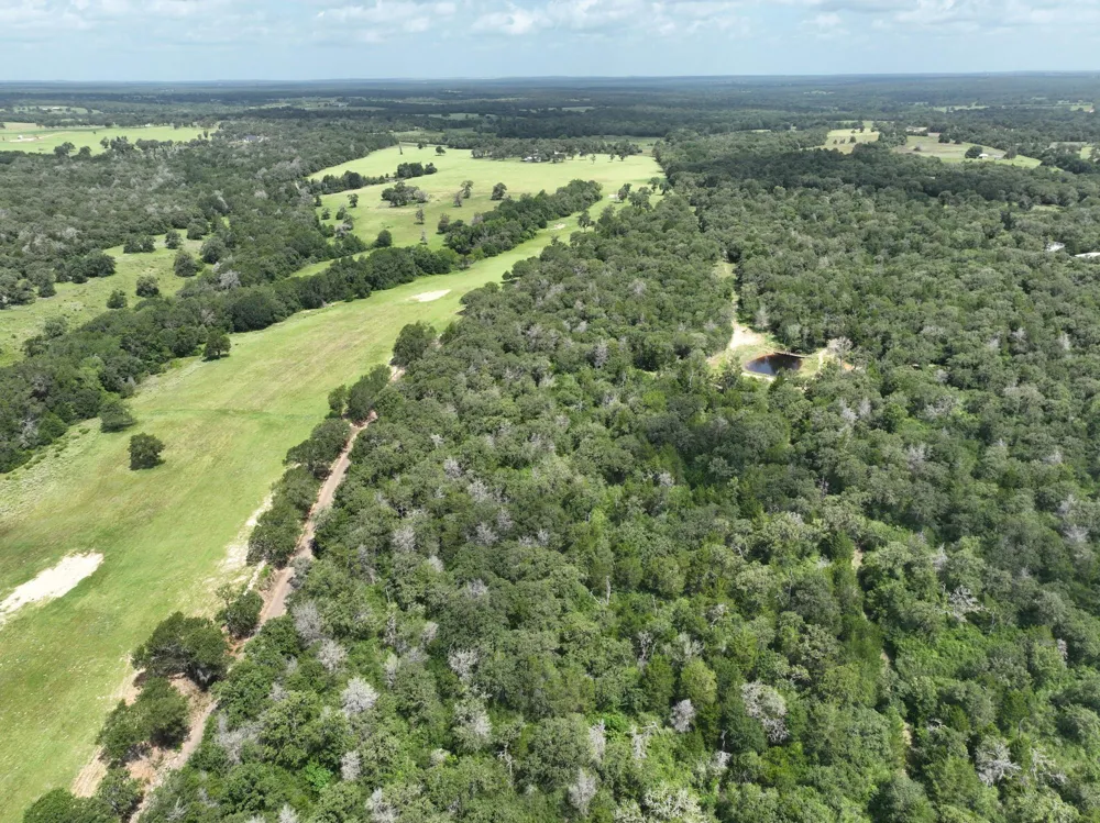 15 County Road 333 Caldwell, TX 77836