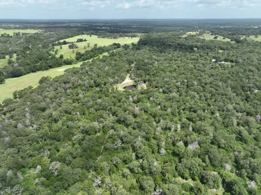 15 County Road 333 Caldwell, TX 77836