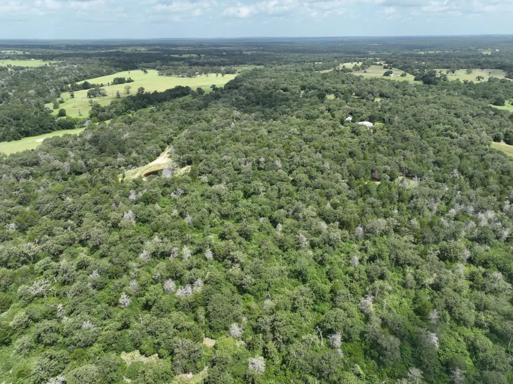 15 County Road 333 Caldwell, TX 77836