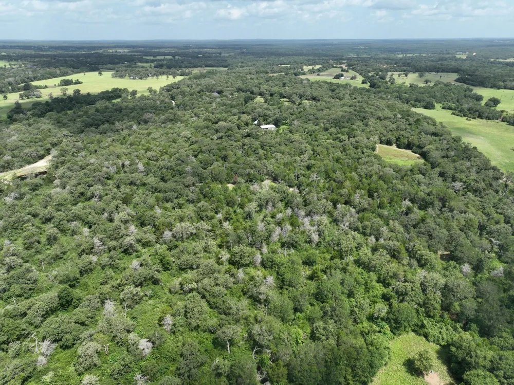 15 County Road 333 Caldwell, TX 77836