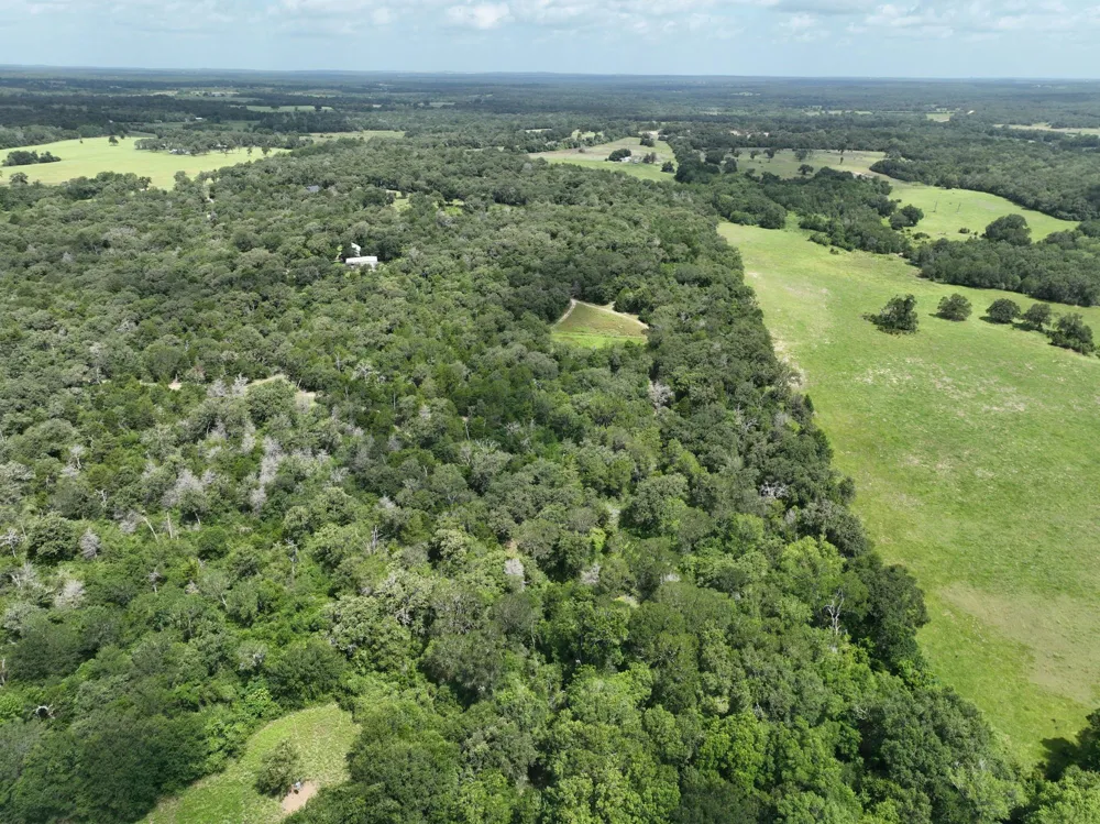 15 County Road 333 Caldwell, TX 77836