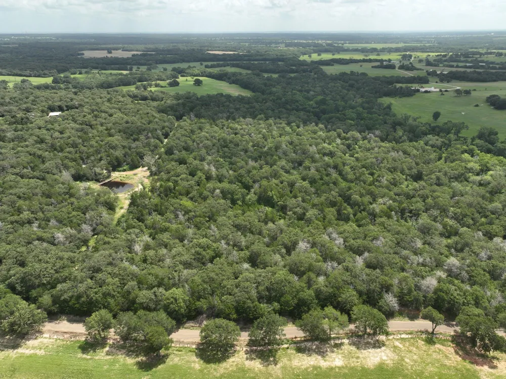15 County Road 333 Caldwell, TX 77836