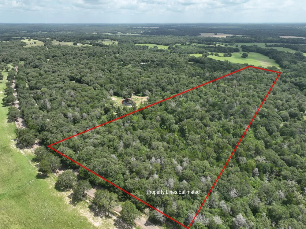 15 County Road 333 Caldwell, TX 77836