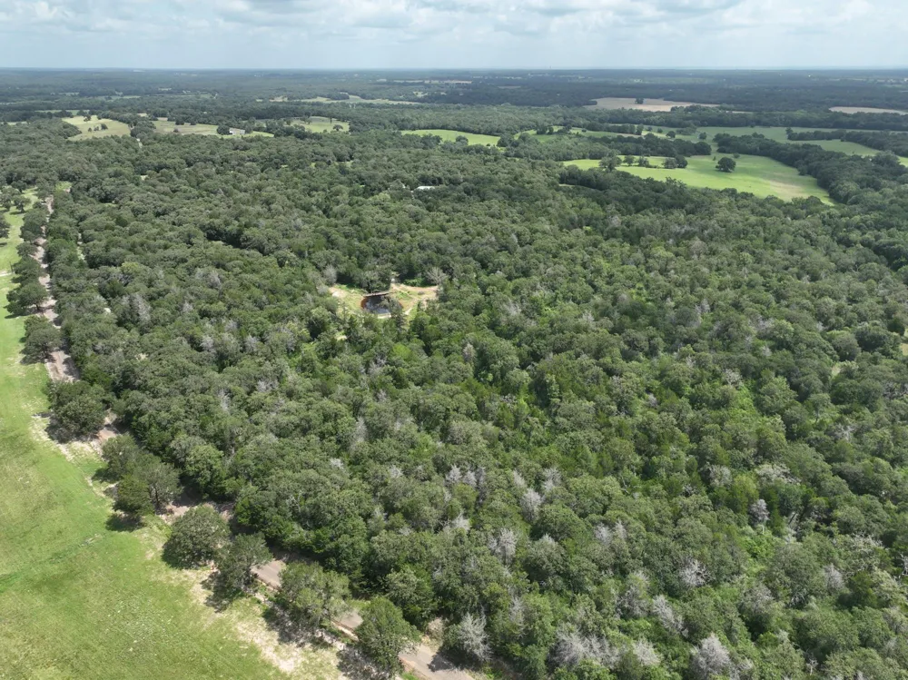 15 County Road 333 Caldwell, TX 77836