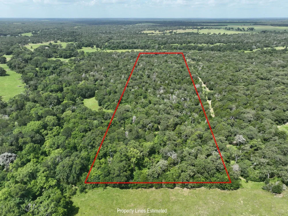 15 County Road 333 Caldwell, TX 77836