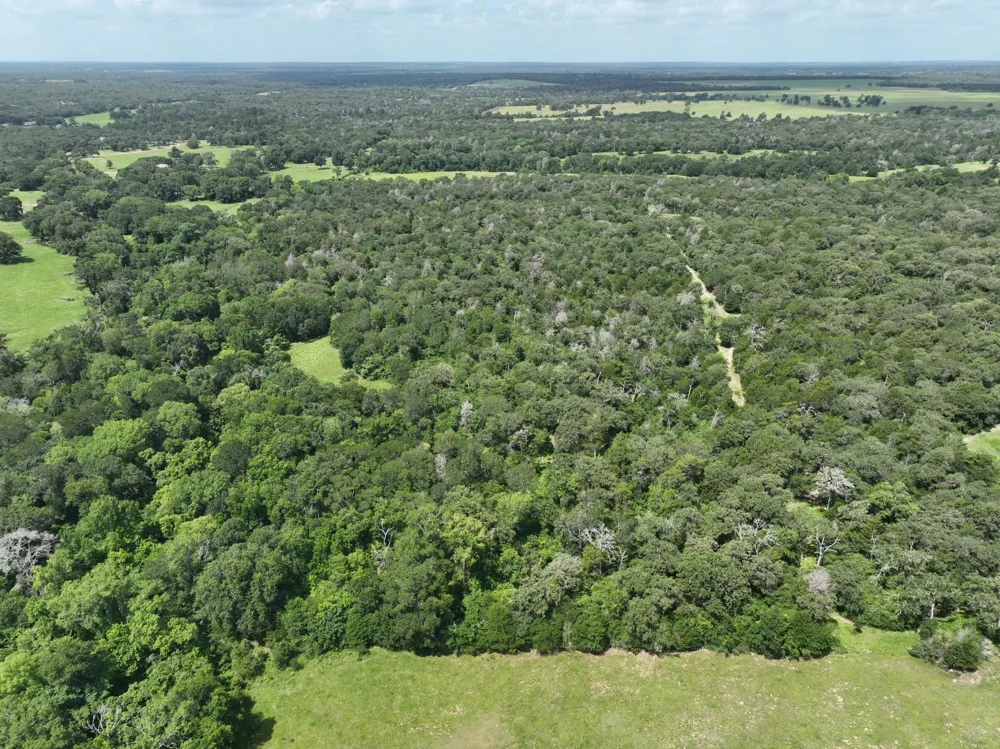 15 County Road 333 Caldwell, TX 77836