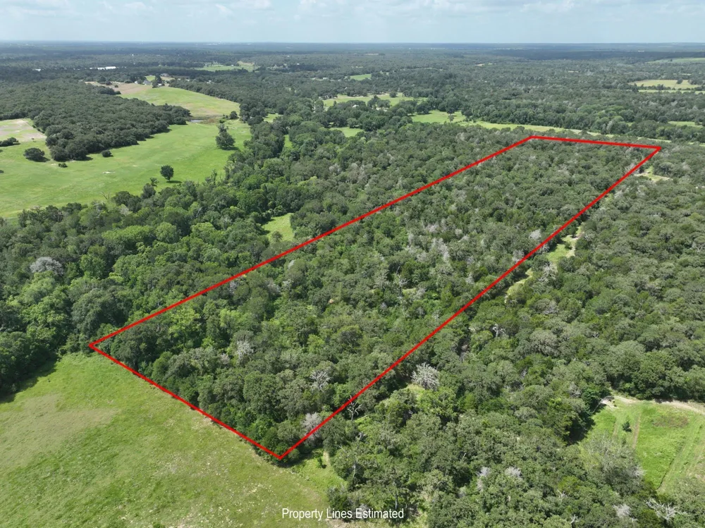 15 County Road 333 Caldwell, TX 77836