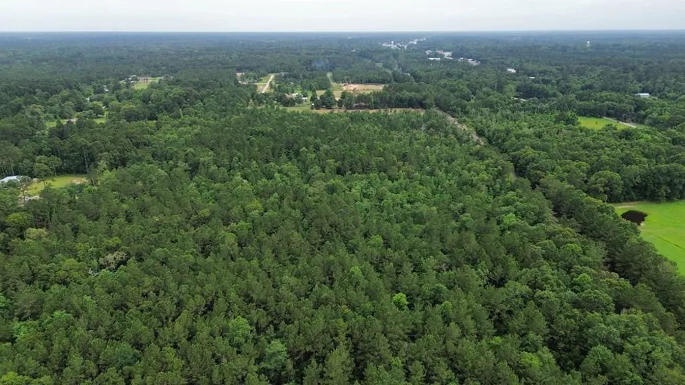 9087 County Road 451 Kirbyville, TX 75956