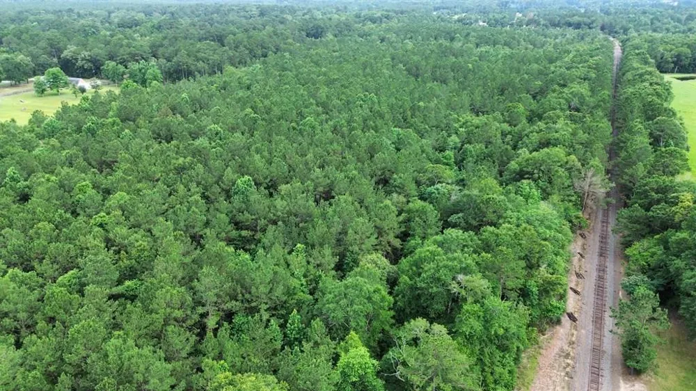 9087 County Road 451 Kirbyville, TX 75956