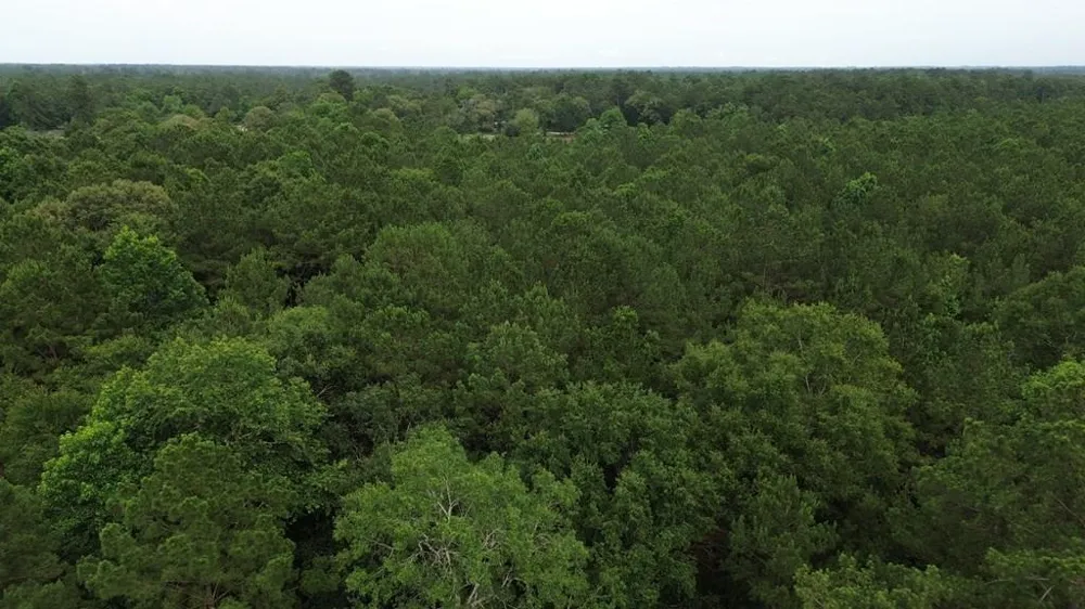 9087 County Road 451 Kirbyville, TX 75956