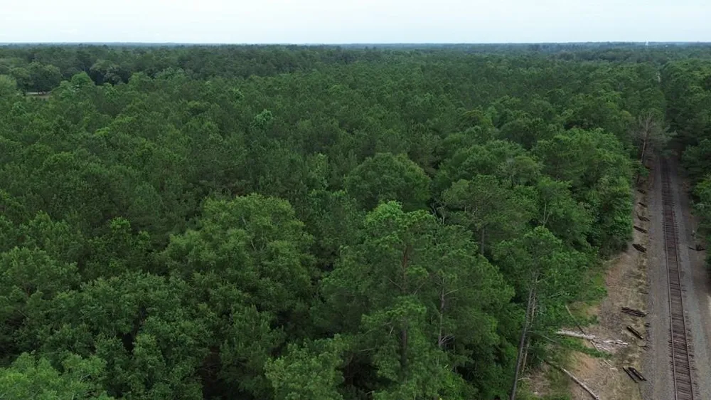 9087 County Road 451 Kirbyville, TX 75956
