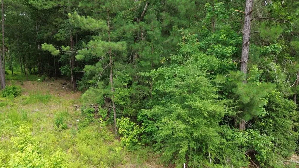 9087 County Road 451 Kirbyville, TX 75956