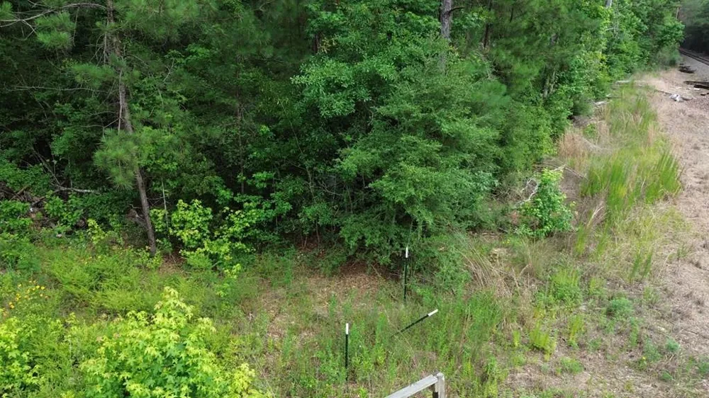 9087 County Road 451 Kirbyville, TX 75956