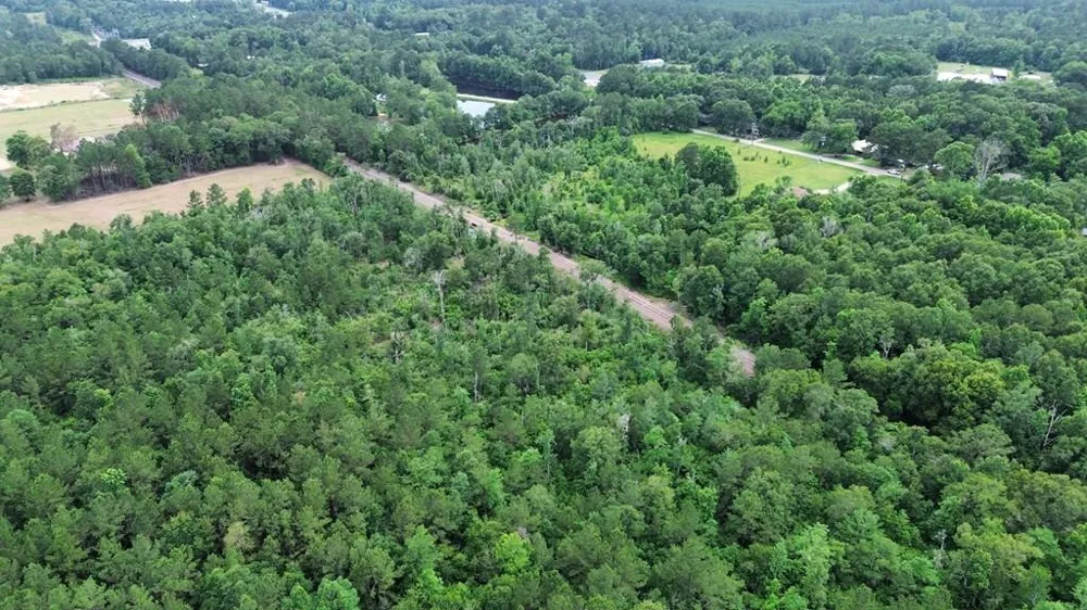 9087 County Road 451 Kirbyville, TX 75956