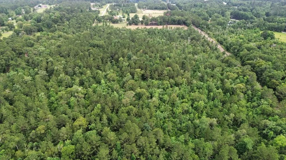 9087 County Road 451 Kirbyville, TX 75956