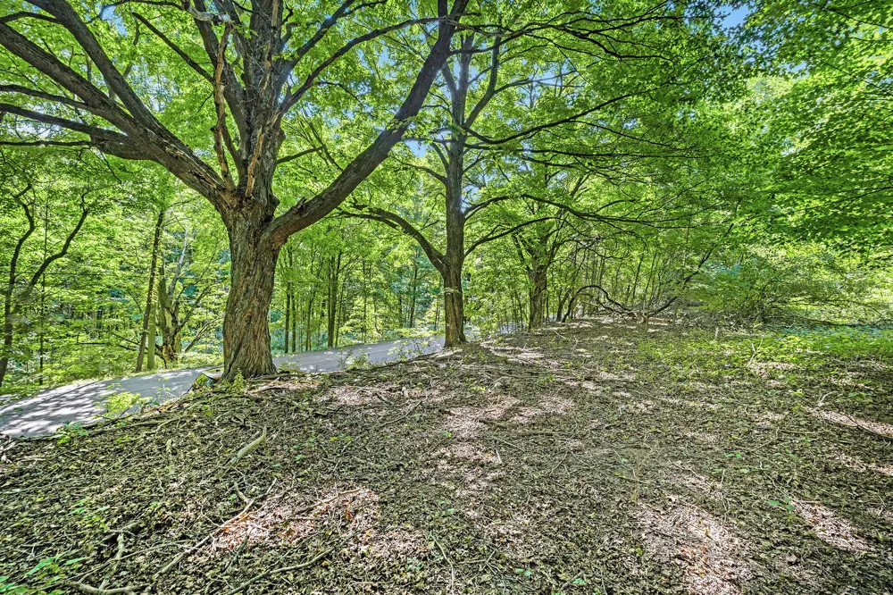56th Avenue Paw Paw, MI 49079