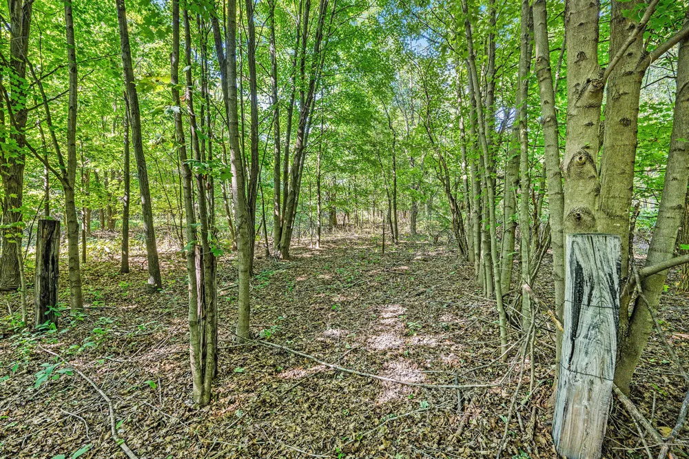 56th Avenue Paw Paw, MI 49079