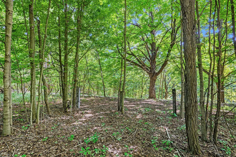 56th Avenue Paw Paw, MI 49079