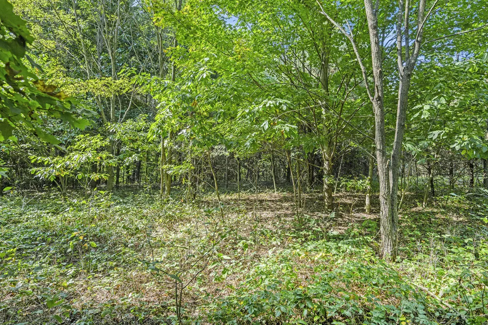 56th Avenue Paw Paw, MI 49079