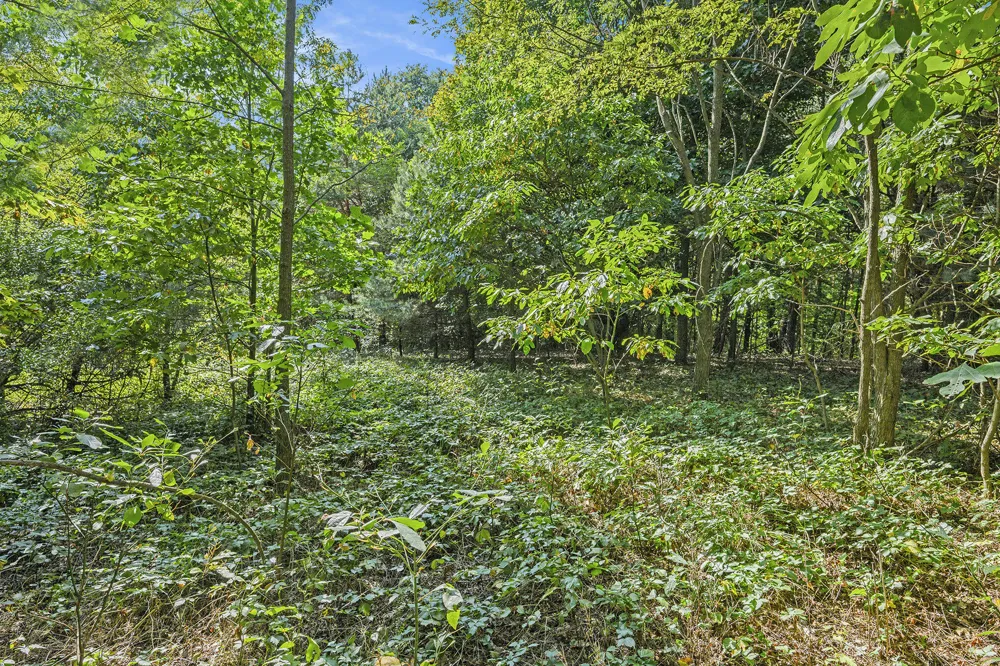 56th Avenue Paw Paw, MI 49079