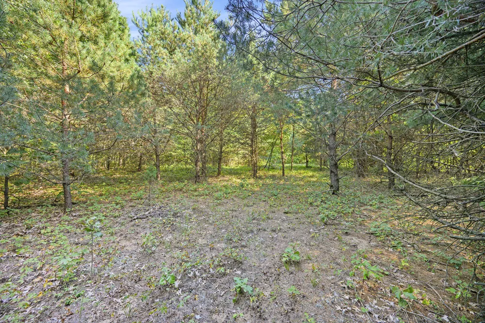 56th Avenue Paw Paw, MI 49079