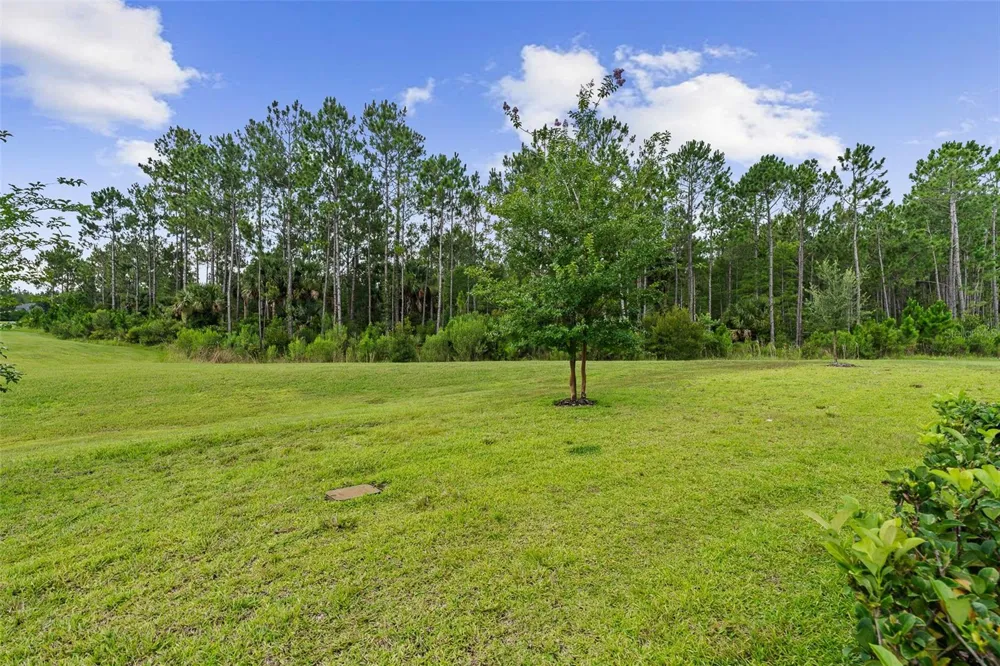 7 NEWHAVEN LANE Ormond Beach, FL 32174