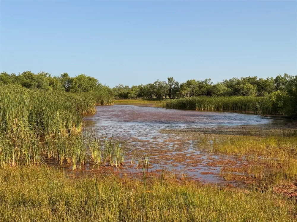 TR 8 FM 604 Ovalo, TX 79541
