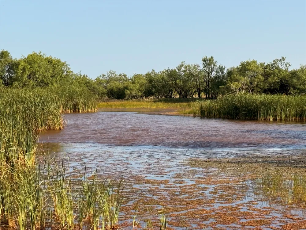 TR 8 FM 604 Ovalo, TX 79541