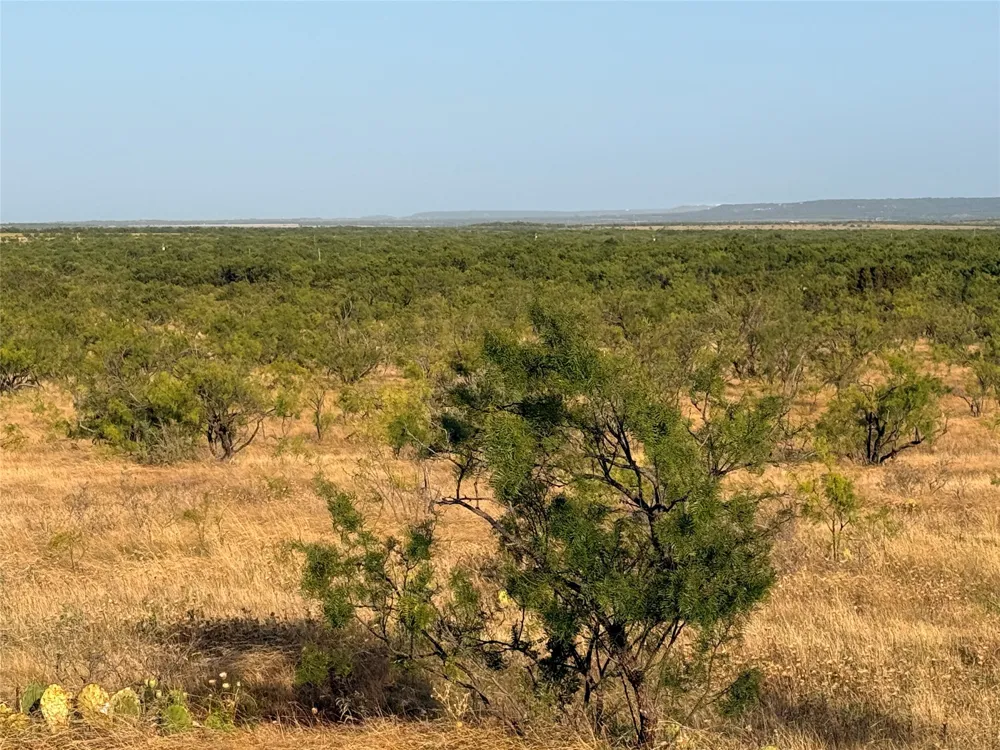 TR 8 FM 604 Ovalo, TX 79541
