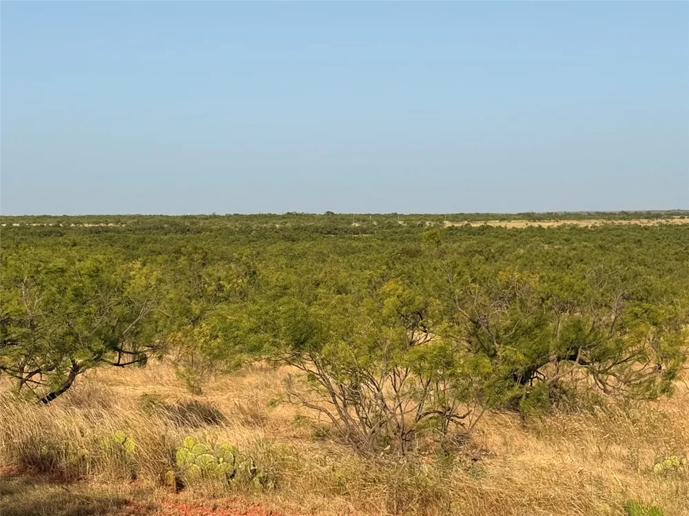 TR 8 FM 604 Ovalo, TX 79541