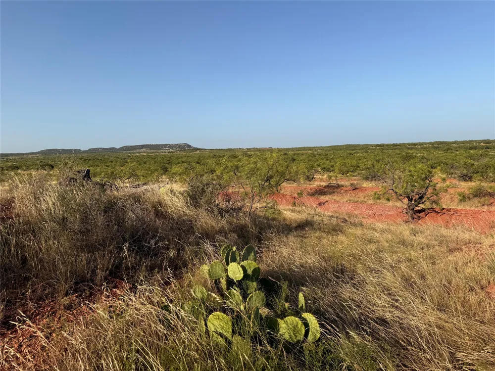 TR 8 FM 604 Ovalo, TX 79541