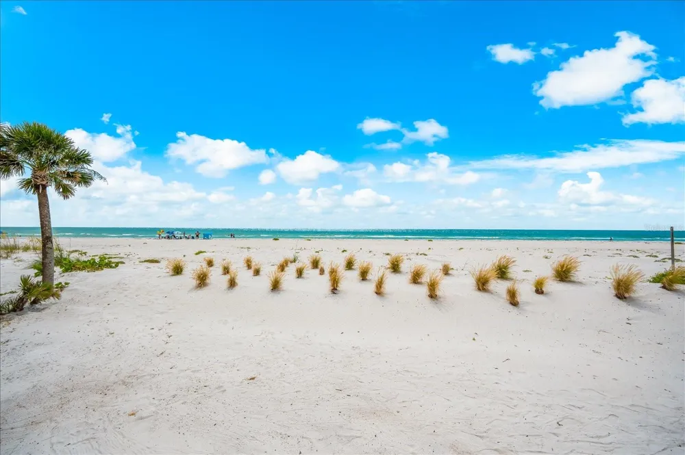 810 ELDORADO AVENUE Clearwater Beach, FL 33767
