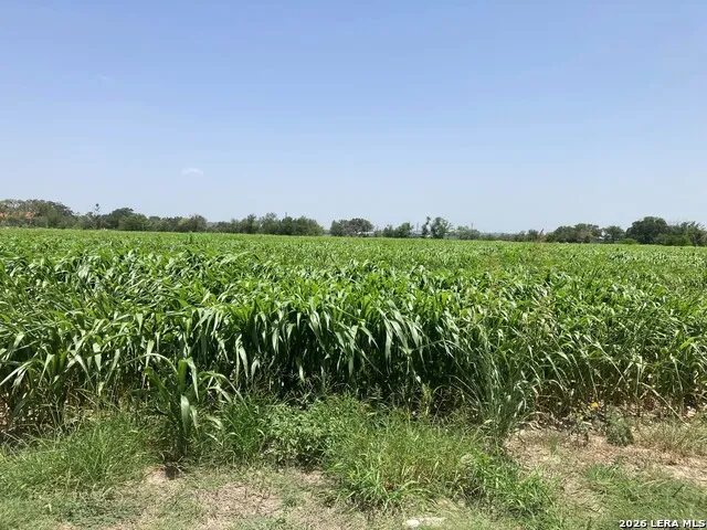 000 County Road 4522 Hondo, TX 78861